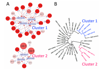 data mining project